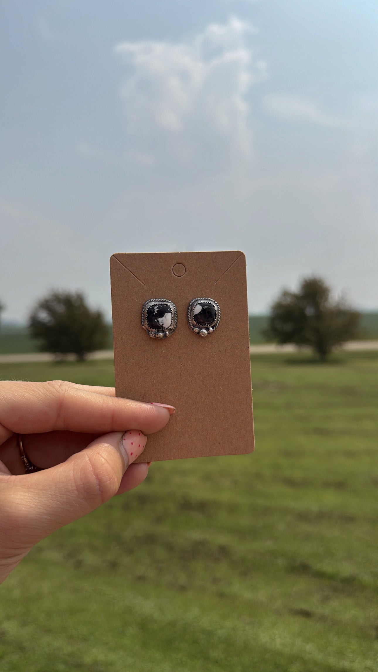 White Buffalo Studs