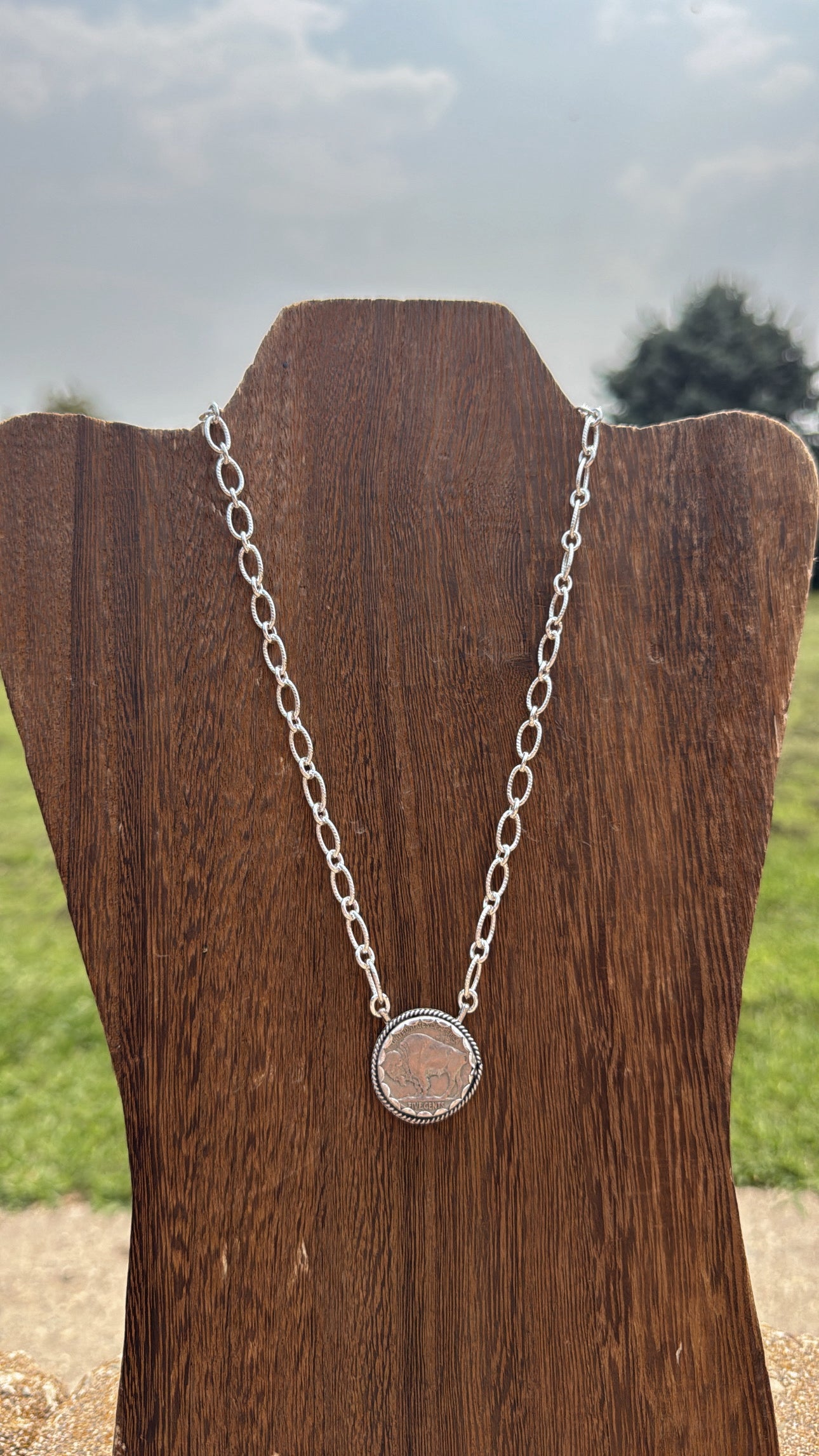 Buffalo Coin #4