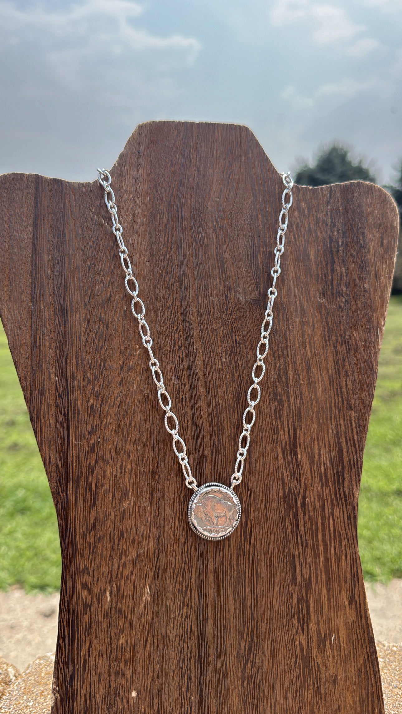 Buffalo Coin #3