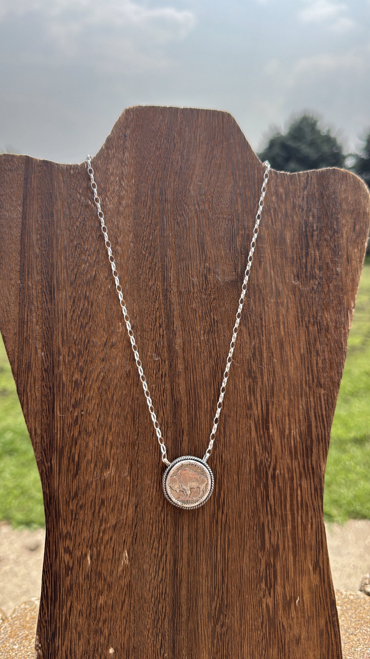 Buffalo Coin #5