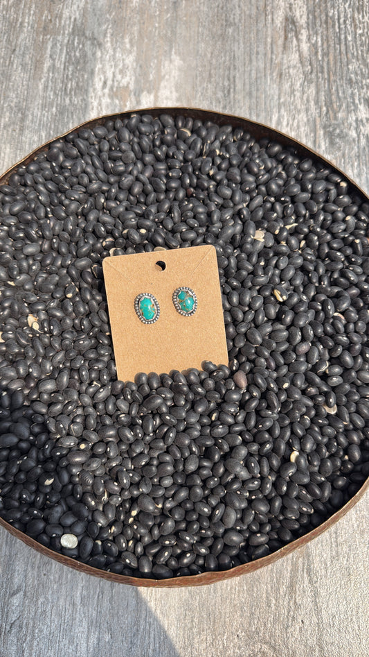Campitos Turquoise Studs