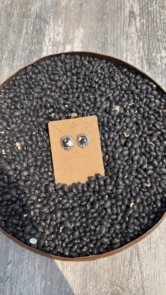 White Buffalo Studs