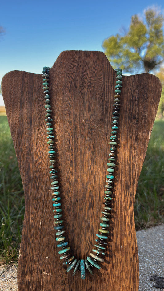 25" Graduated Turquoise