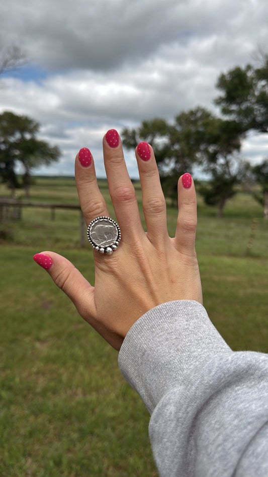 Buffalo Coin Ring