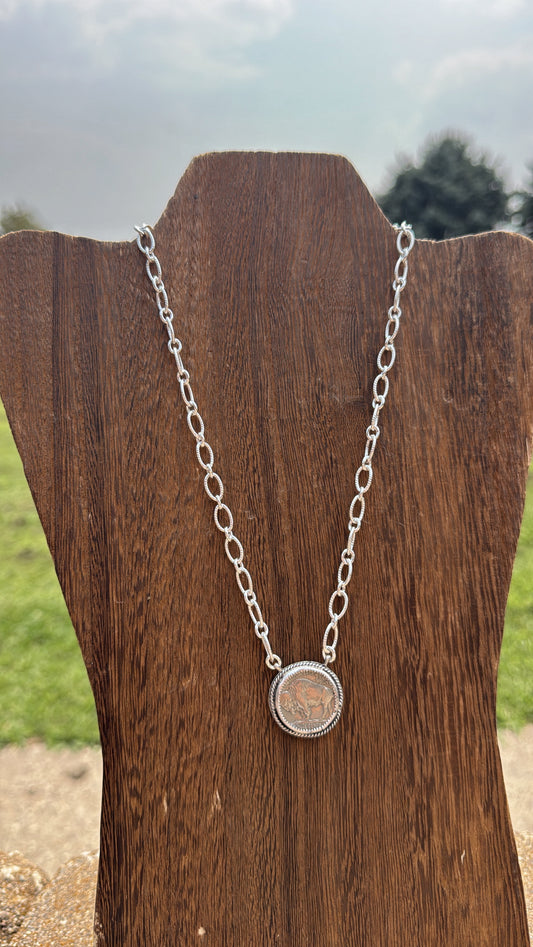 Buffalo Coin #6
